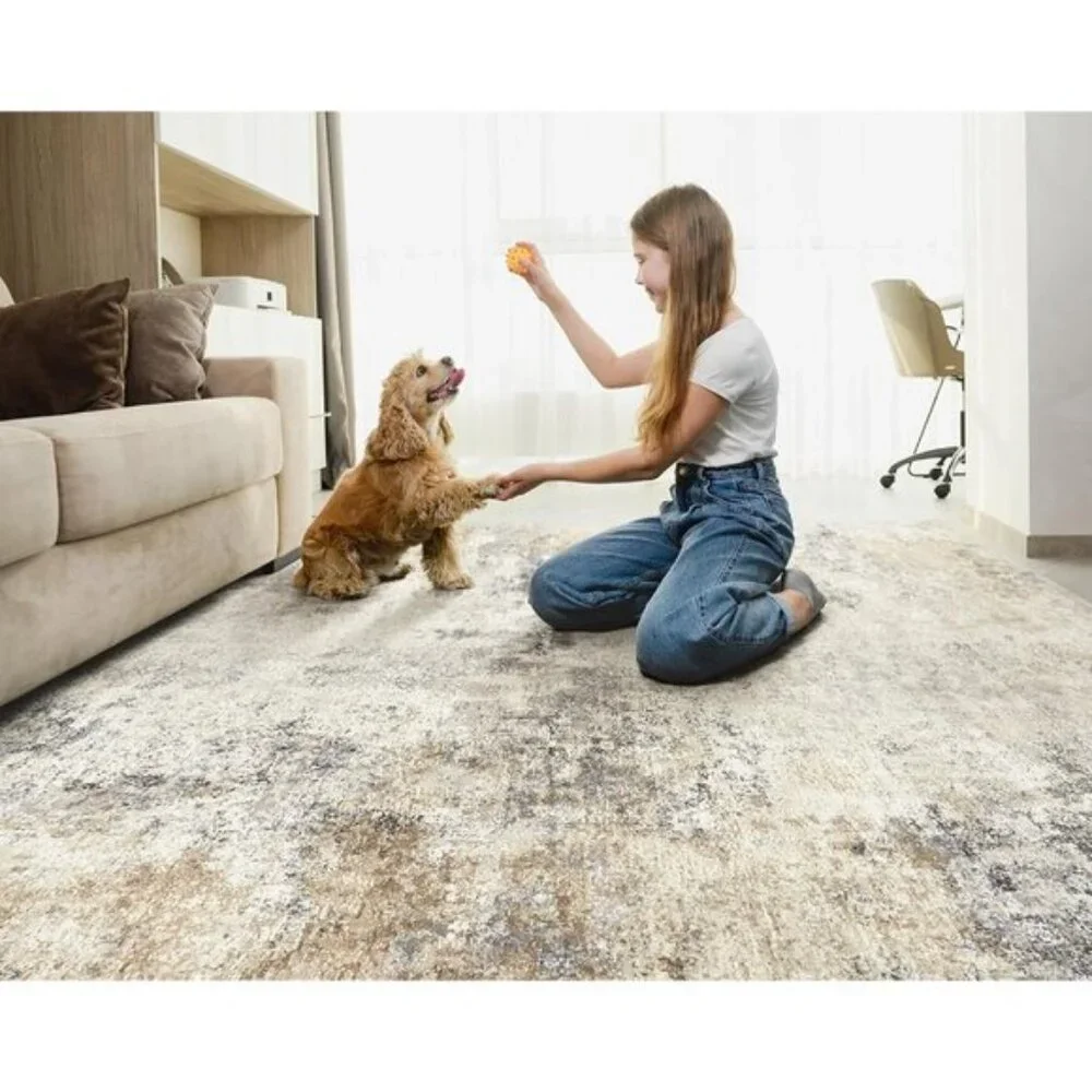 New 5x7 Golden Grey Area Rug, Washable Modern Abstract Soft Non-Slip Carpet